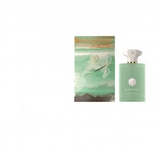 AMOUAGE MEANDER MEN edp 100 ml